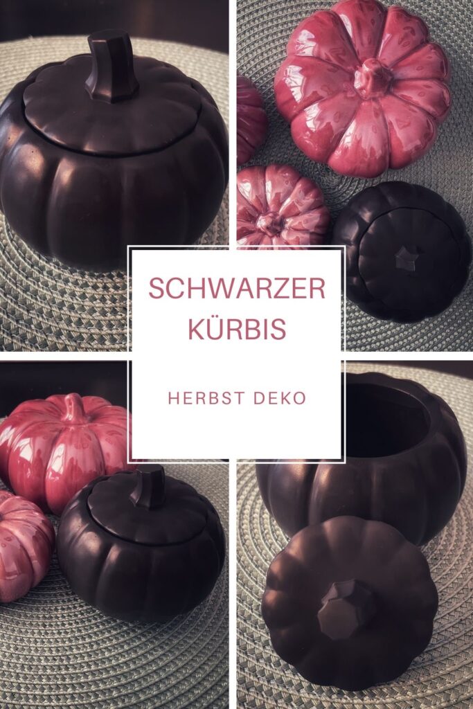 Kürbis aus schwarzem Raysin gegossen
