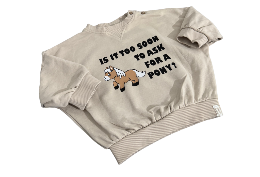 Veredelter Pullover mit einem Statement-Plott und Pony